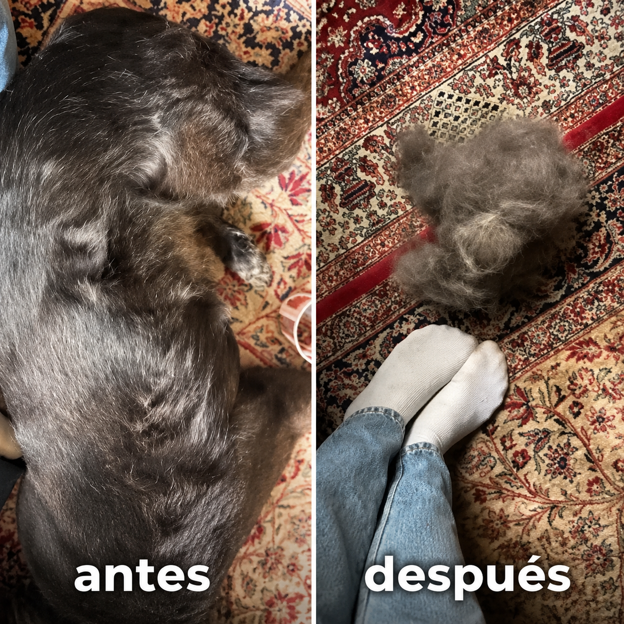 Cepillo Profesional Diseñado Para Mascotas
